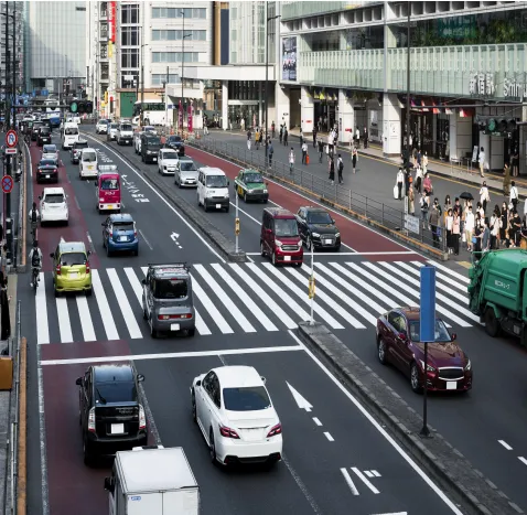 License Plate Recognition and People Counting Software